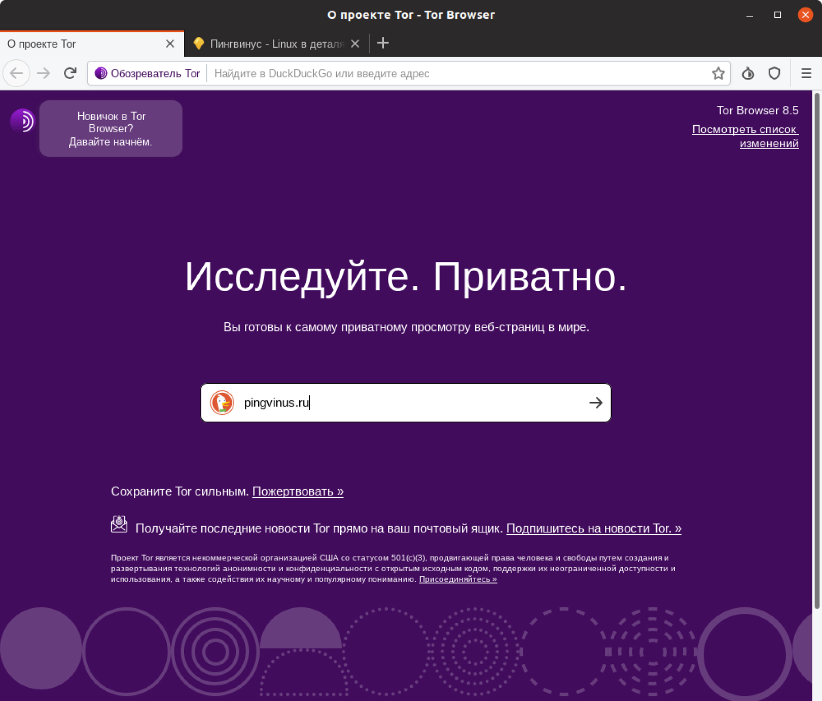 Screenshot Tor Browser